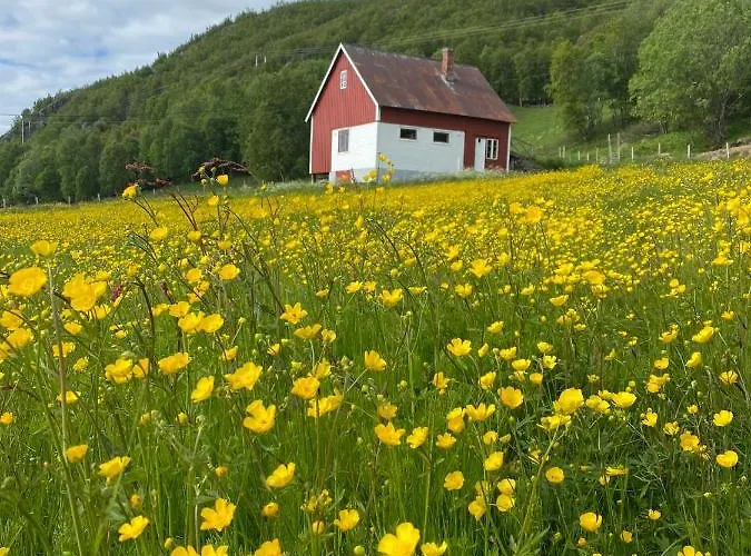 Unique And Charming With Fantastic Sea Views * Tromsø