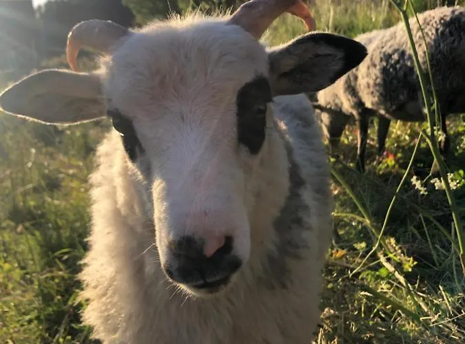 Unique And Charming With Fantastic Sea Views Tromsø