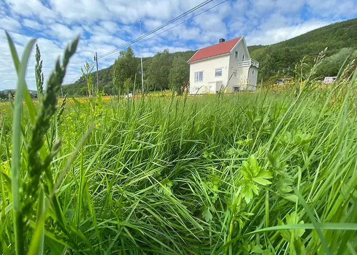 Unique And Charming With Fantastic Sea Views Hébergement de vacances